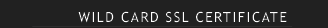 WildCard SSL Certificates Mumbai, Windows Digital Certificates, Private SSL Certificate Mumbai,